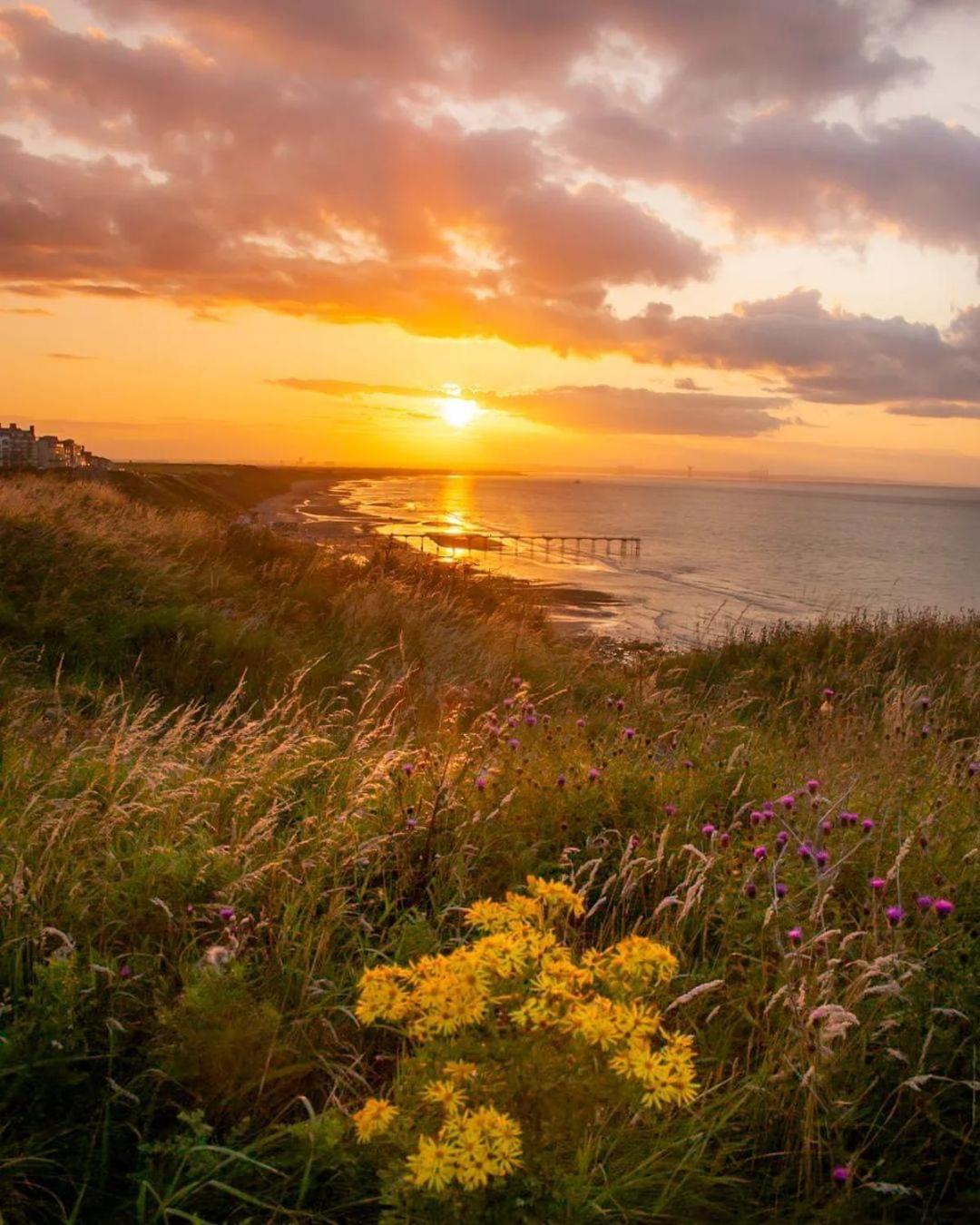 Captain'S Deck Beach Balcony Perfectlysaltburn Bagian luar foto
