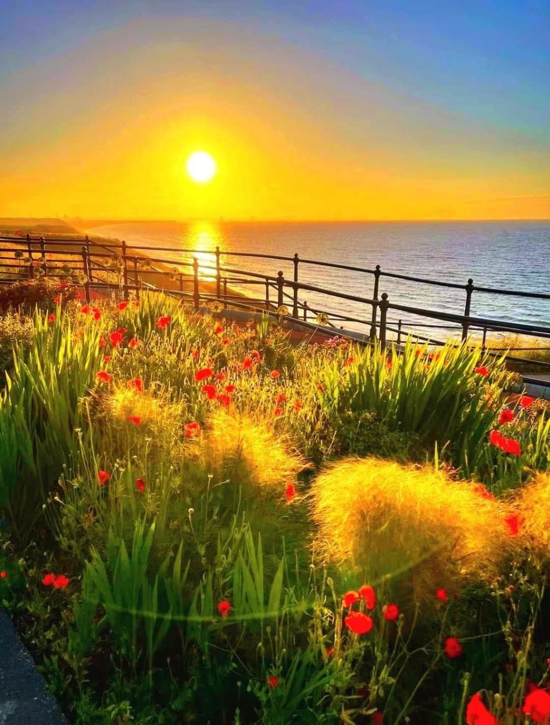 Captain'S Deck Beach Balcony Perfectlysaltburn Bagian luar foto
